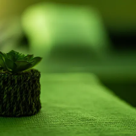 Rhelizeone & جميل 3*