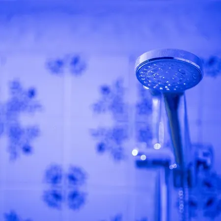 Rhelizeone & جميل 3*