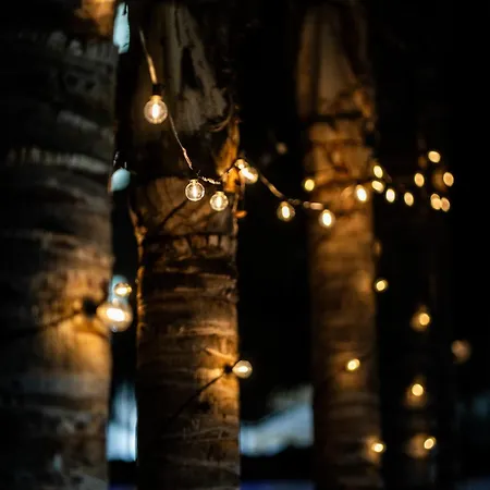 Rhelizeone & جميل 3*