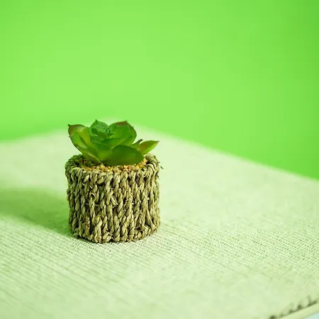 Rhelizeone & جميل Bed and Breakfast Παλέρμο