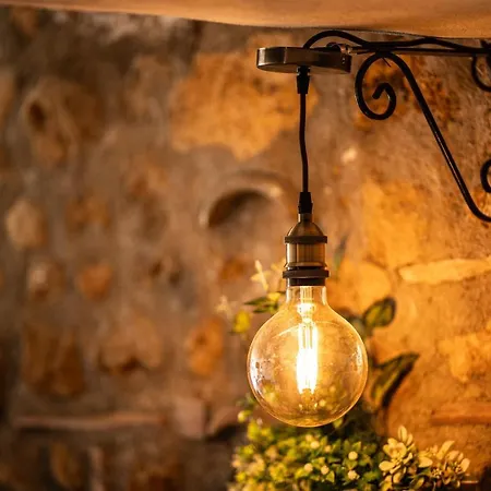 Bed and breakfast Rhelizeone & جميل