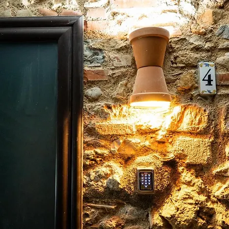 Rhelizeone & جميل