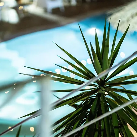 Rhelizeone&spa جميل فندق مبيت وإفطار 3*