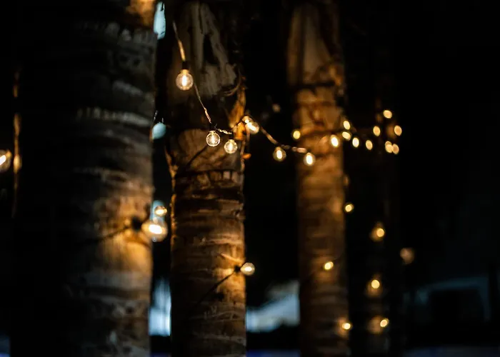 Rhelizeone & جميل 3*