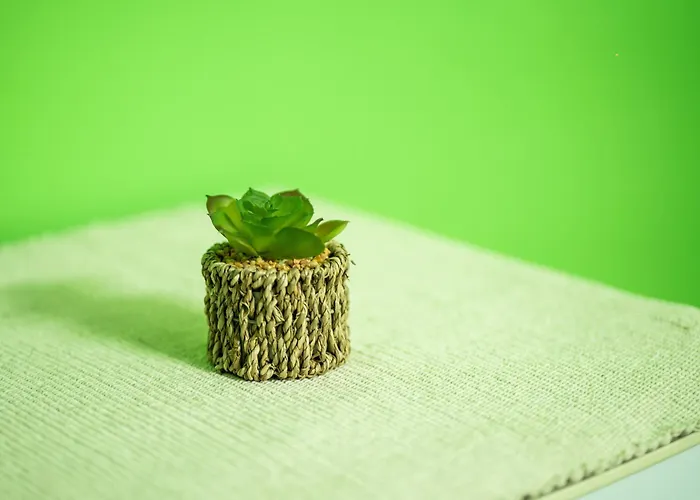 Rhelizeone & جميل Отель типа 