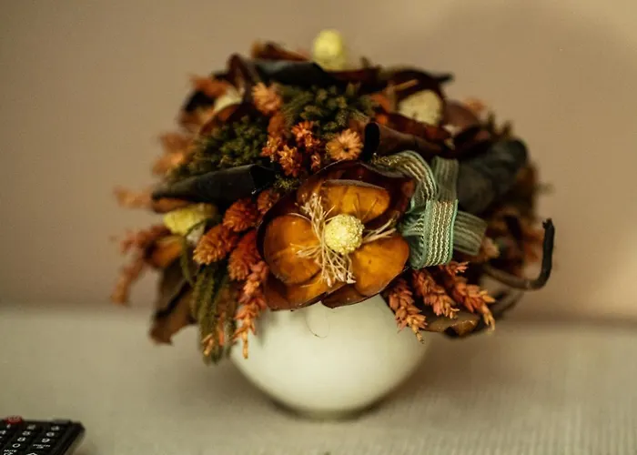 Rhelizeone & جميل 3*