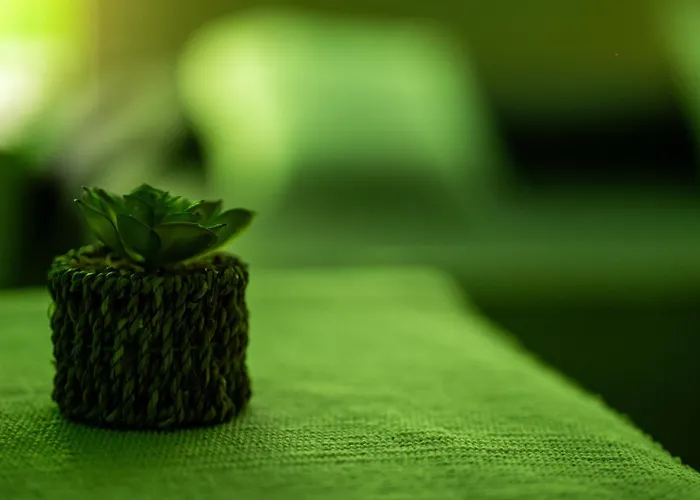 Rhelizeone & جميل 3*