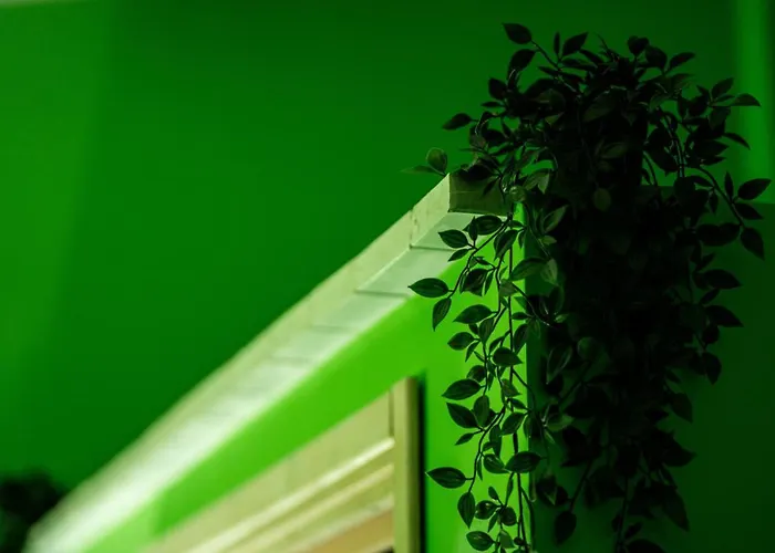 Rhelizeone & جميل 住宿加早餐酒店